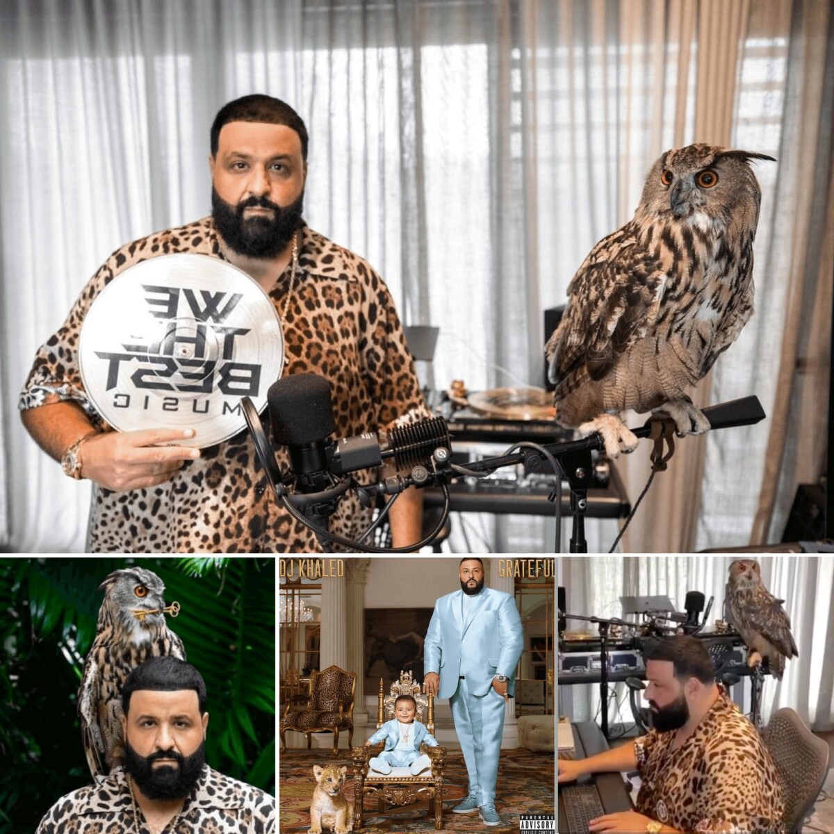 This owl is DJ Khaled’s companion in the studio: ‘Unlike the big cat ...